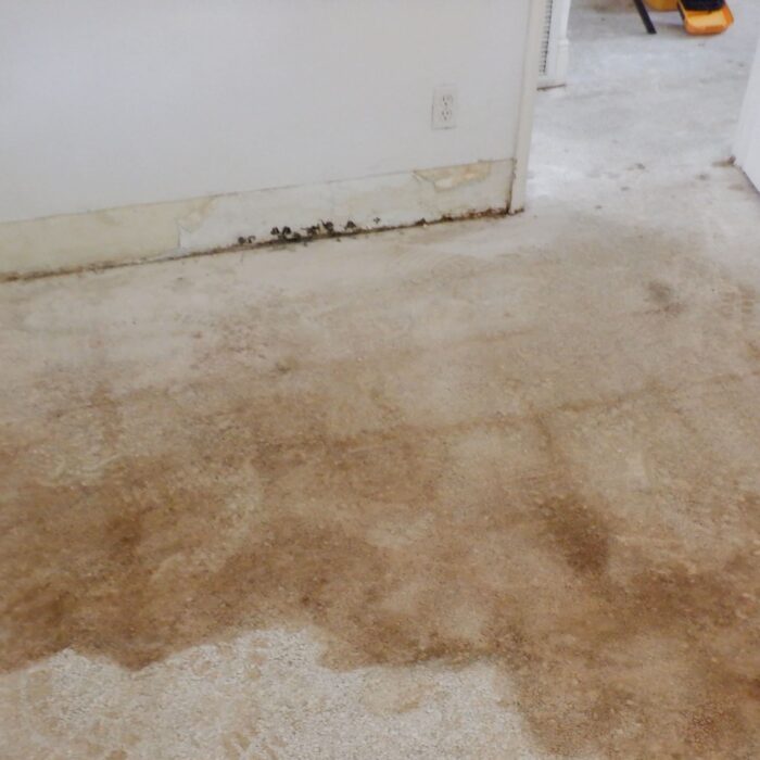 Sewage emergency